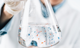 featured 2494645 265x160