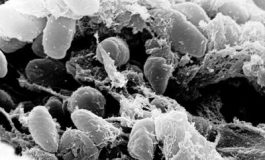 featured 2536852 265x160