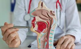 featured 2536894 265x160