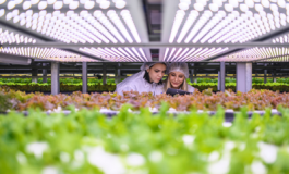 featured 2537263 265x160