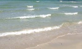 featured 2541407 265x160