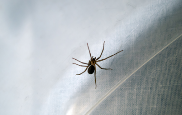 featured 2551182 364x230