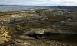 featured 2556912 265x160