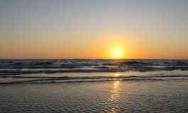 featured 2557405 265x160