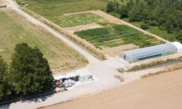 featured 2560977 265x160