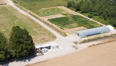 Agricoltura, MartinoRossi in campo per innovazione sostenibile con progetti sperimentali