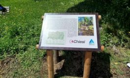 featured 2567406 265x160