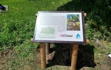 featured 2567406 364x230