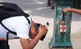 featured 2567940 264x160