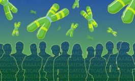 featured 2571138 265x160