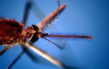 featured 2580114 364x230