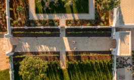 featured 2580380 265x160