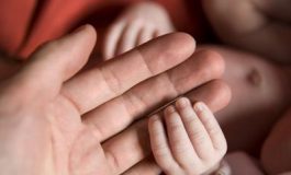 featured 2586184 265x160