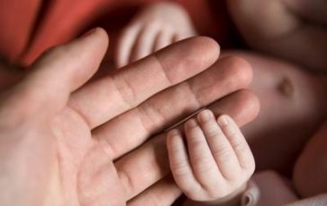 featured 2586184 364x230