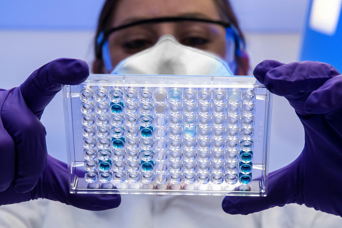 L'Oms avverte: "Possibile rischio globale", nuova pandemia in arrivo dalla Francia?