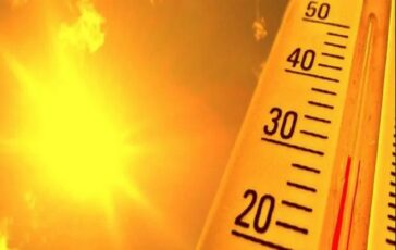 caldo record