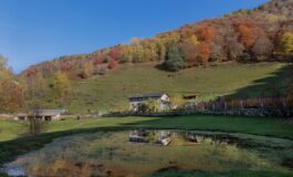 maurizio moro 4 265x160