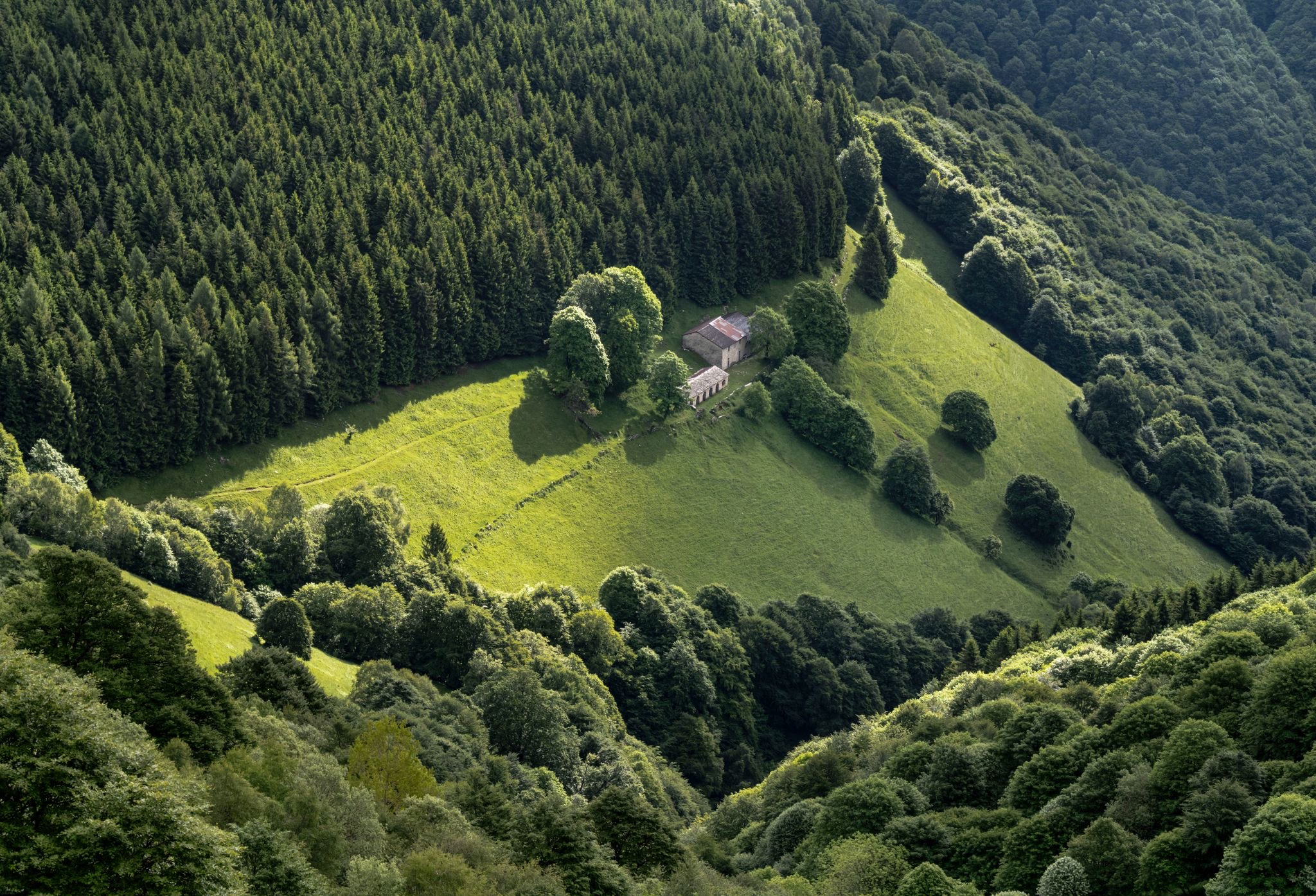 squadrina maurizio moro 1