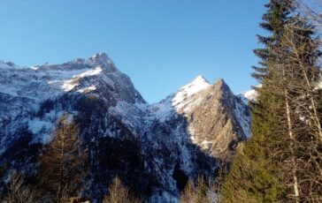 whatsapp image 2025 07 16 at 084010 364x230