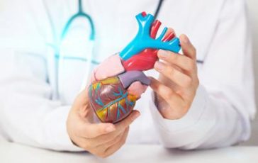 featured 2596439 364x230