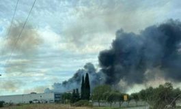 featured 2599445 265x160