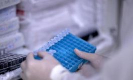 featured 2601423 265x160