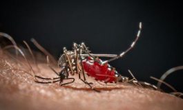 featured 2601709 265x160