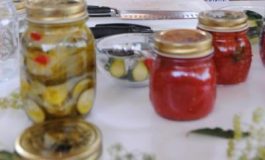 featured 2603615 265x160