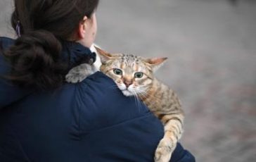 featured 2613106 364x230