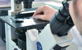 featured 2639261 265x160