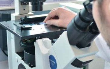 featured 2639261 364x230