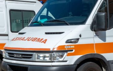 muore punto da un calabrone
