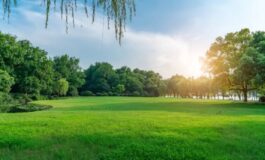 festa nazionale svizzera 1 agosto