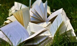 image 8235ce99 5e76 48d5 89b0 a1a0905a97d8 265x160