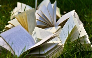 image 8235ce99 5e76 48d5 89b0 a1a0905a97d8 364x230