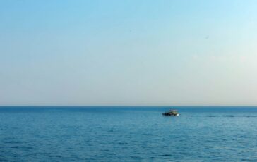 mare fucsia