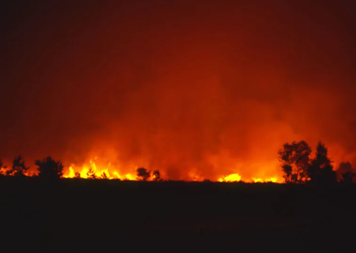 Incendio sul Vesuvio, tre chilometri di fiamme e lo Stato interviene