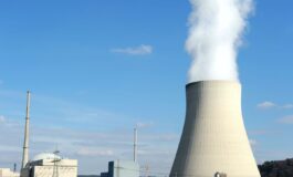 invasione meduse francia