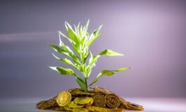 Crisi, incertezze e nuovi trend: come evolvono le scelte finanziarie dei risparmiatori