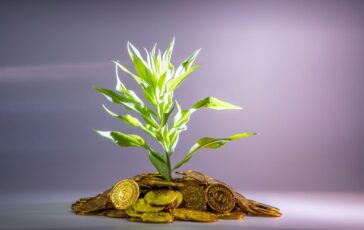 Crisi, incertezze e nuovi trend: come evolvono le scelte finanziarie dei risparmiatori