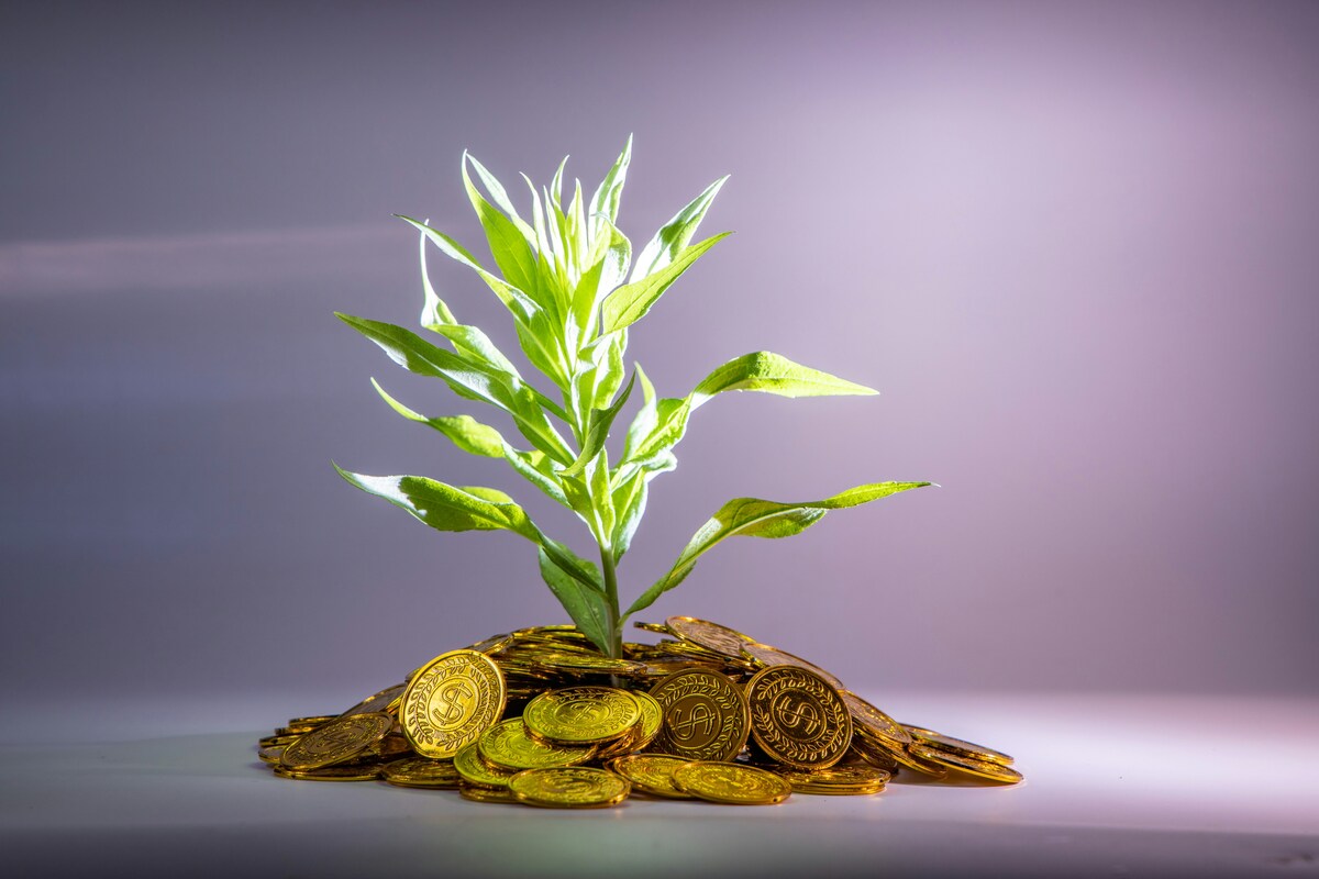 2025: risparmi e investimenti tra prudenza e crescente interesse per il sostenibile