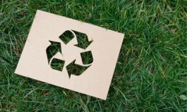 featured 2650706 265x160