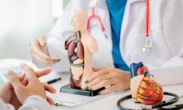 featured 2652883 265x160