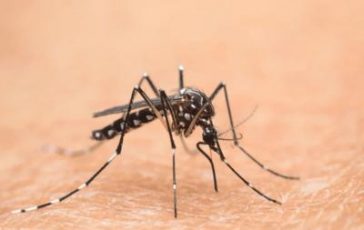 featured 2653004 364x230