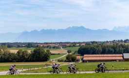 featured 2683988 265x160