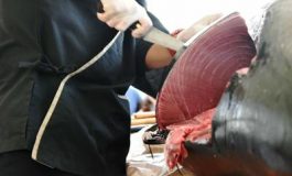 featured 2697155 265x160