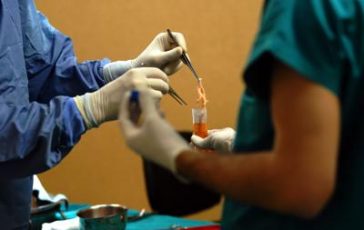 featured 2697246 364x230