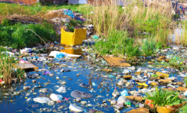 featured 2699756 265x160