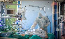 featured 2700067 265x160