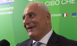 featured 2708023 265x160